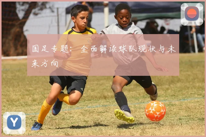 国足专题:全面解读球队现状与未来方向