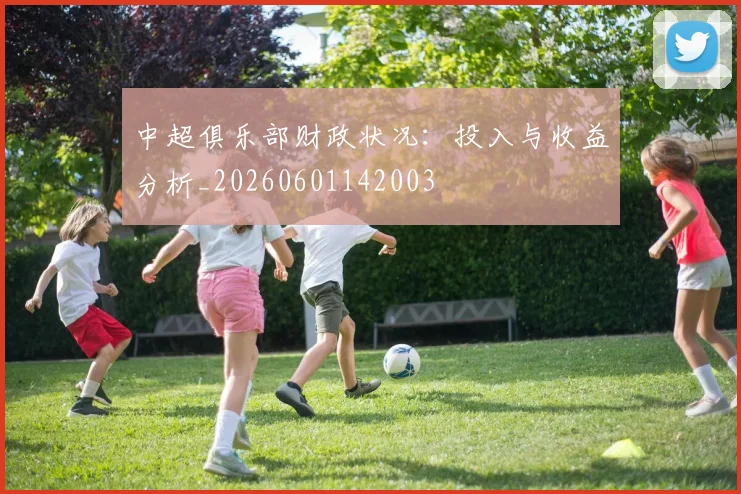 中超俱乐部财政状况：投入与收益分析_20260601142003