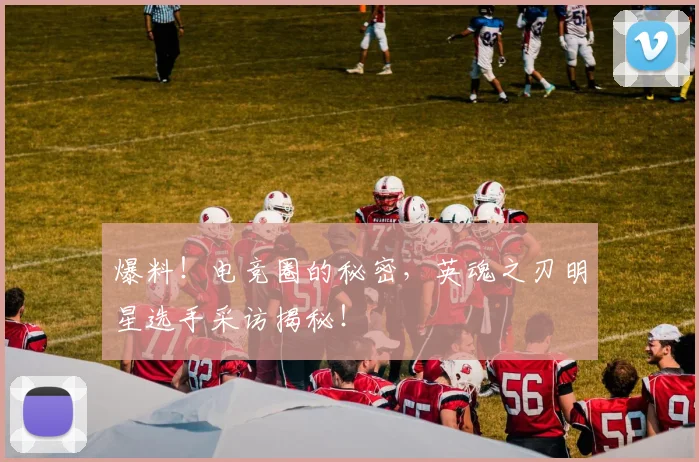 爆料！电竞圈的秘密，英魂之刃明星选手采访揭秘！